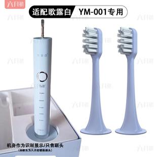 适配for歌露白/时光颜究所电动牙刷头YAMAN雅萌YM-001通用替换头