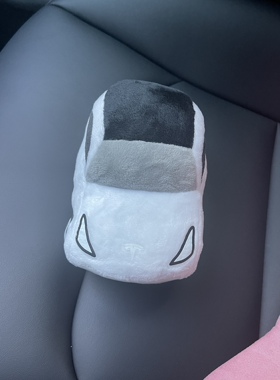 特斯拉限量版汽车毛绒小玩偶玩具车公仔摆件定制车牌（5色可选）