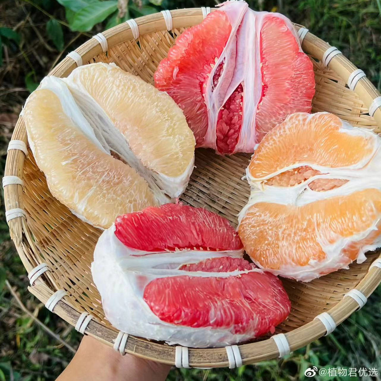 福建红心蜜柚三红柚8.5斤 植物君优选四拼柚酸甜多汁放几天更好吃