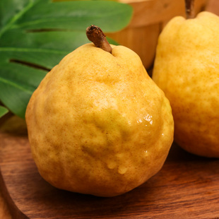 山东丑梨5斤 植物君优选软糯鲜甜 外表很丑汁水很多 放软后再吃