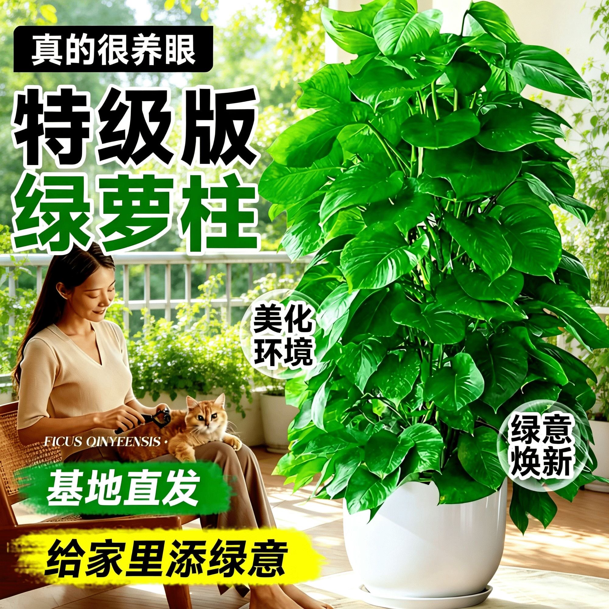 大叶绿萝柱客厅楼梯办公乔迁送礼摆件新房净化空气特大型绿植好养