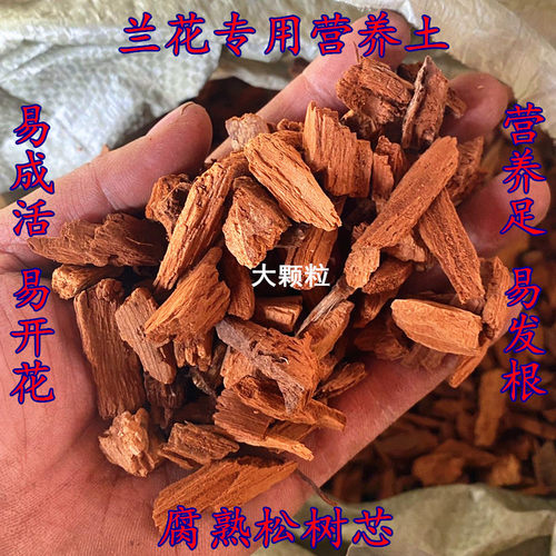 松树芯腐木心养兰专用植料