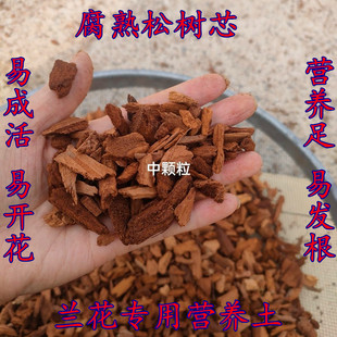 兰花专用腐熟松树芯营养土养根易发根开花好养活