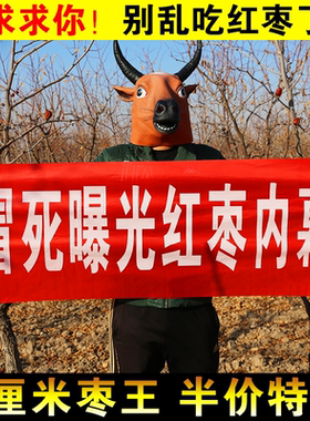新疆和田大枣整箱泡水喝一级
