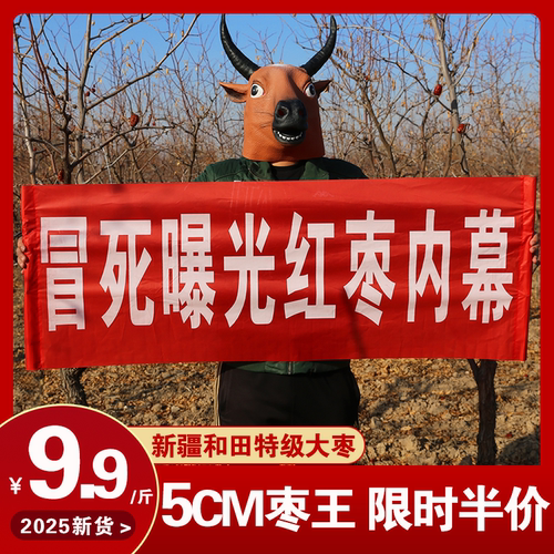 新货新疆和田大枣特级5厘米特价
