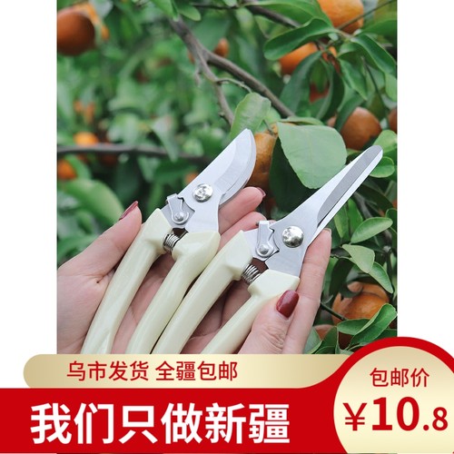 不锈钢树枝剪园艺修枝剪