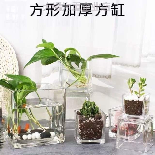 摆件正方形缸简约?花盆透明绿萝水养插花瓶乌龟玻璃水培植物器皿