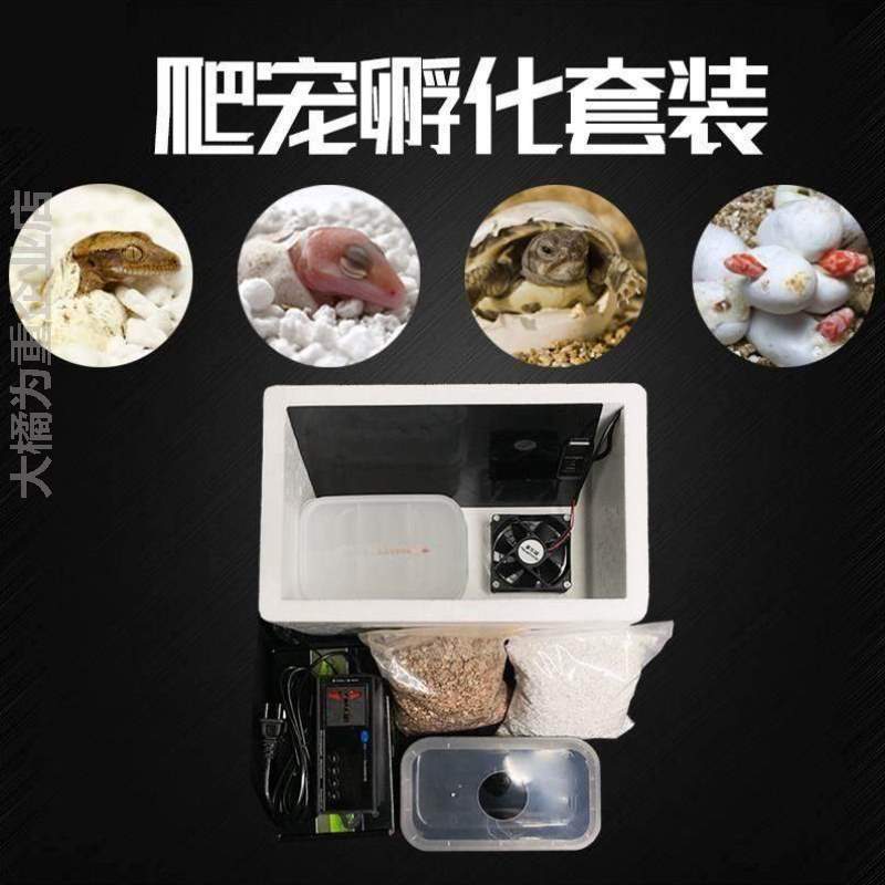 泡沫蛋乌龟套装爬虫孵化孵化器宠盒孵蛋器孵化箱乌龟可爬{托守宫