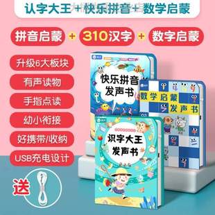 字发声书3000有声大王儿童认字卡片识字早教 小孩幼儿园看点读机