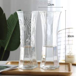 玻璃水养两件套特大号花瓶家用客厅 插花瓶%摆花瓶富贵竹 透明