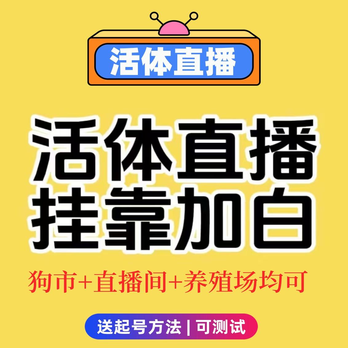 抖音主体办理小风车sss流宠物猫狗房产孔雀鸵鸟活体仓鼠报白抗风