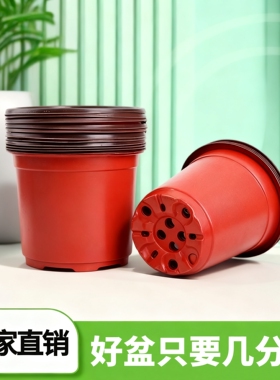 特价双色盆育苗盆黑色加仑盆塑料花盆一次性盆绿植多肉几分钱扦插