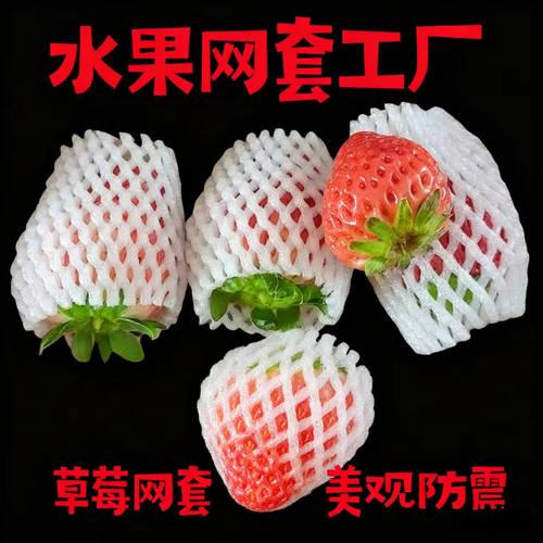 草莓水果网套工厂批发防磕碰包装枇杷苹果泡沫桃子防震泡沫网兜