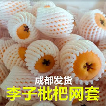 草莓枇杷李子水果网套苹果梨泡沫发泡包装猕猴桃橙子防震网兜网袋