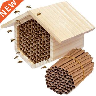 2022 New 50Pcs Bee House Tubes Refill Bee Paper Tube Liners