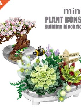 New ouquet Potted uilding locks Plant Cherry ree Succulen