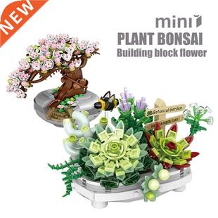 uilding locks Plant New ree Potted Cherry Succulen ouquet