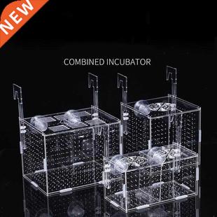 Box Small Isolation Fish Tropical Aquarium Net Fis Tank