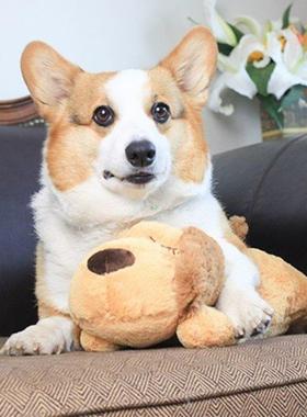 Cute Heartbeat Puppy Behavioral Training Toy Plush Pet Comfo