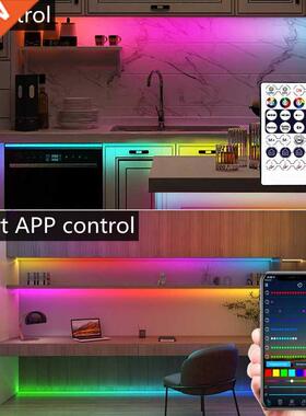 LED Strip Light RGB 5050 WS2812B USB Bluetooth Control Diode