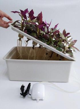 Household 11 Holes Hydroponic Growing System Kit Garden Soil