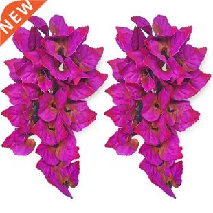 Pack Hanging Terrarium Suction Reptile with Plants