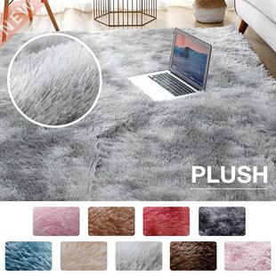 Plush Carpet Living Room Decoration Fluffy Rug Thick Bedroom