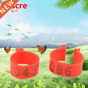 Ring Poultry Buckle Chicken Label Foot Digital 100Pcs Leg
