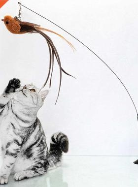 Simulation Bird interactive Cat Toy Funny Feather Bird with