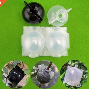 Grafting Ball Growing Box Cas Plant Breeding Rooting