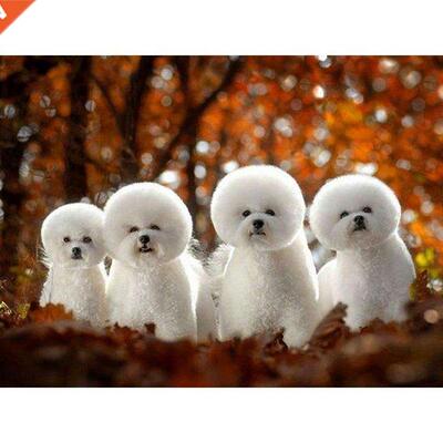 Damond Anmals  Damond Pantng Dogs Drll Bchon Brth