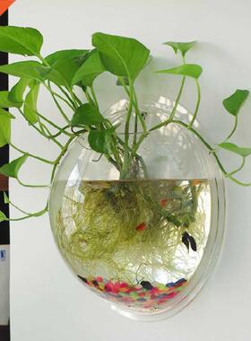 Hanging Flower Pot Glass Ball Vase Terrarium Wall Fish Tank