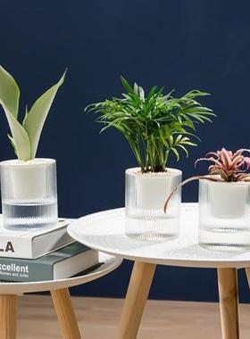 Self Watering Plastic Plant Pot with Rope Clear Water Contai