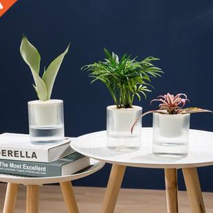 Self Watering Plastic Plant Pot with Rope Clear Water Contai