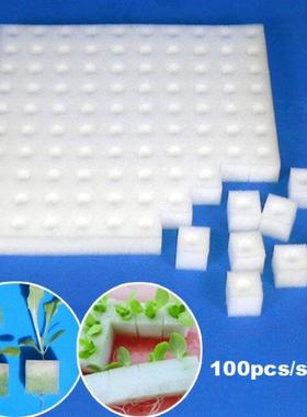 100pcs/sheet Garden Cultivation Plant White Sponge Soilless