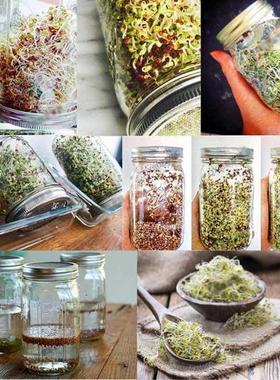 Sprouting Jar with 304 Stainless Steel Screen Lid Wide Mouth