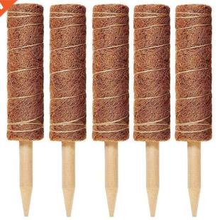 Inch Poles Packs Totem Shell Coconut