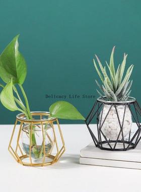 Geometrc ron Lne Flowers Vase Terrarum Smple Retro Meta