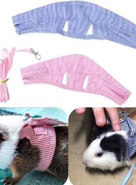 Two-legged Small Pet Chest Strap Outdoor Traction Rope Leash