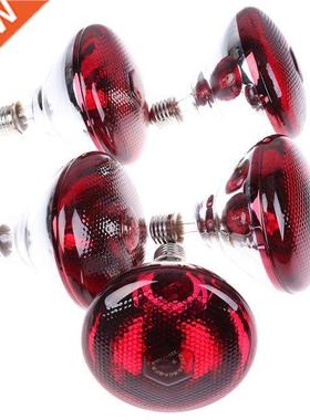 Pet Brooder Hatch Chicken Piggy Dog Cat Thermal Lamp Smart I