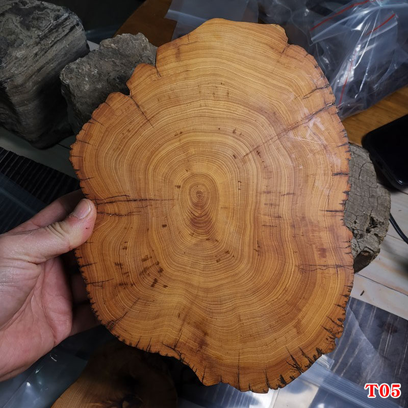 特价尾货清仓天然太行崖柏原木微瑕木雕杯垫壶垫笔筒香插木质底座