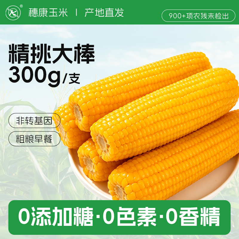 穗康新鲜大黄糯玉米300g大棒10根粗粮早餐软香甜糯真空装整箱