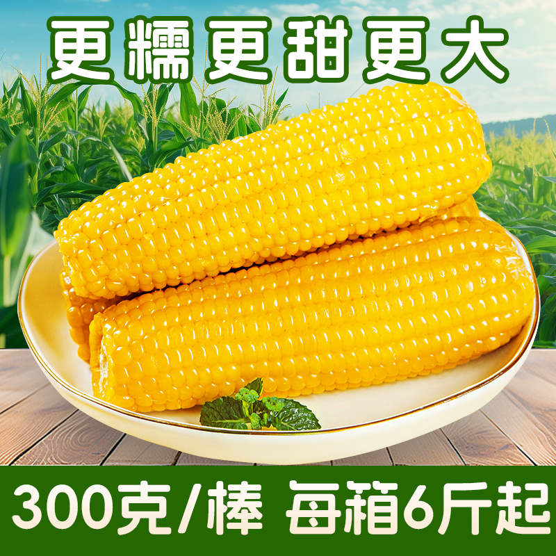 穗康彩糯糯玉米早餐非转基因