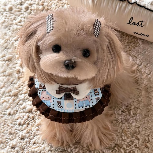 韩系INS风甜美宠物围兜小中型犬