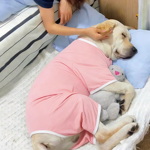 宠物狗狗衣服中大型犬防掉毛春装四脚华夫格睡衣防脏防凉金毛边牧