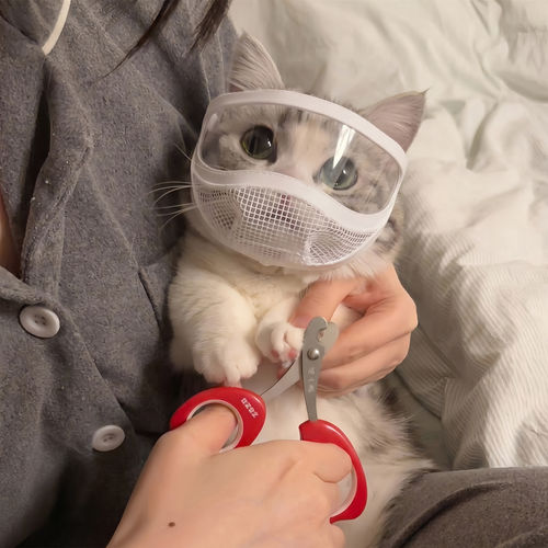 宠物专用透明猫眼罩防咬伤清洁