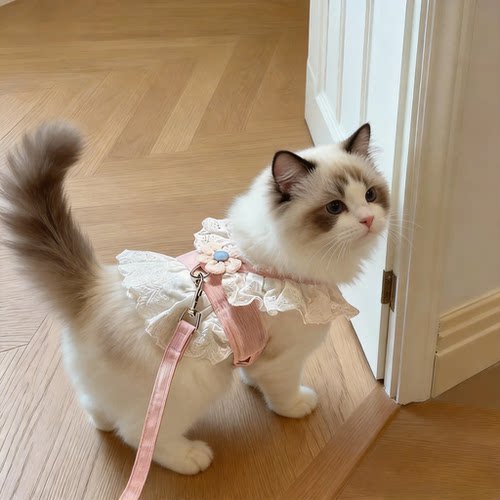 猫咪蕾丝花边防挣脱宠物牵引