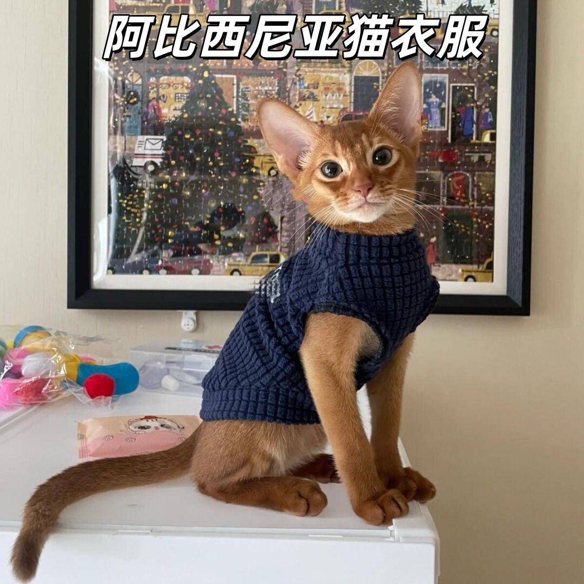 阿比西尼亚猫咪衣服防掉毛冬季宠物加厚打底小型犬泰迪小鹿比熊贵