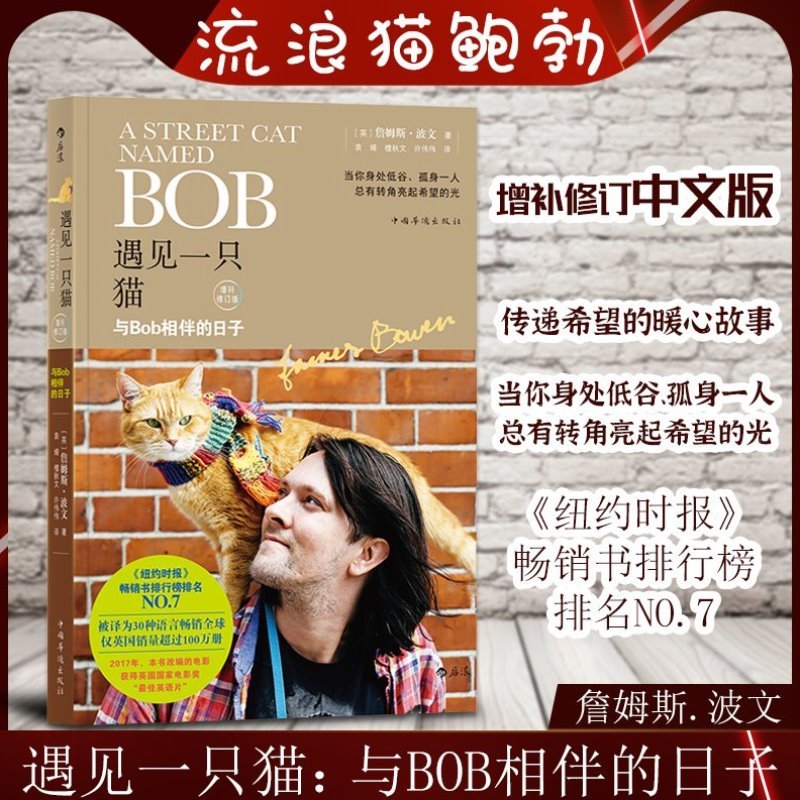 遇见一只猫 与BOb相伴的日子 A Street Cat Named Bob一只名叫鲍勃的流浪猫中文版当bob来敲门中文电影原著小说书自律成功励志书籍