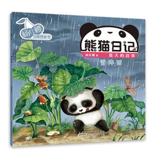 杨红樱启蒙图画书 熊猫日记 夏天的故事:雷阵雨 杨红樱著 少儿绘本 安徽少年 出版社正版 了解传统中国文化 养成良好行为习惯